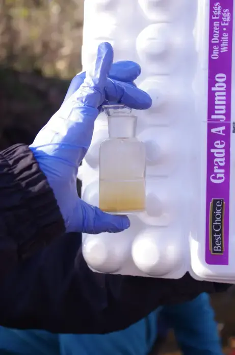 water quality test