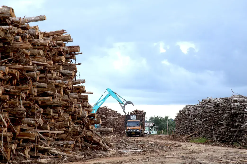 3.3.Concesión Adindo_troncos.jpg A crane picks up logs from a truck amidst big piles of logs.