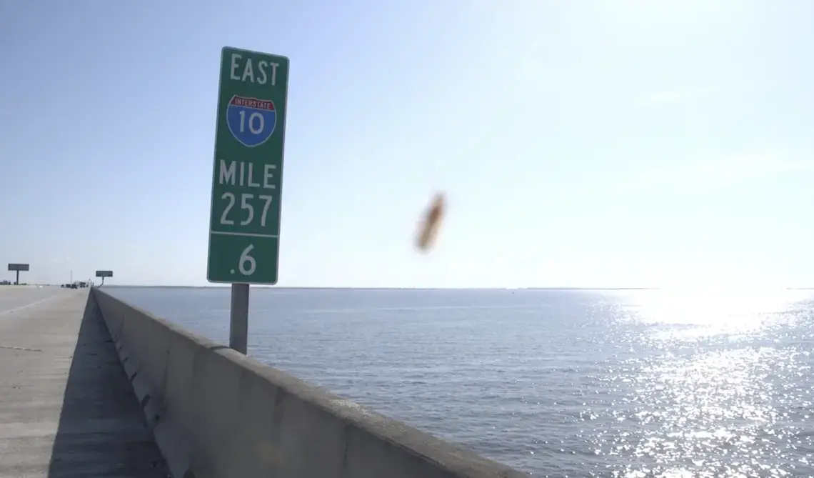 mosquito on camera lens