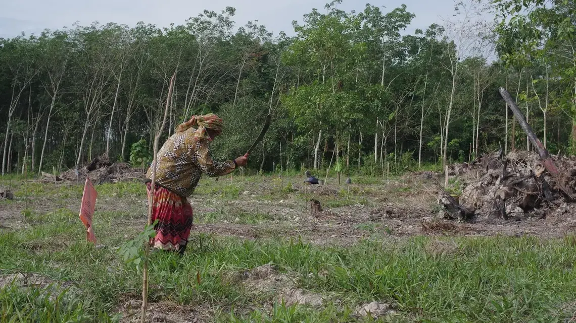 Between Floods, Elephants, and Jobs A woman weeding her plot of land with a machete.