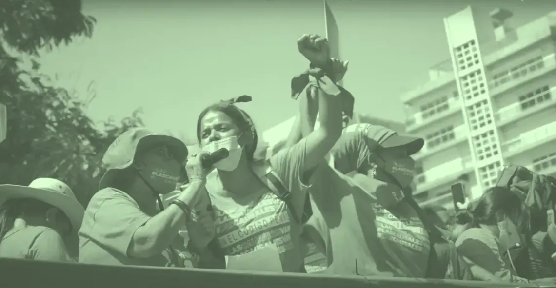 Beyond the Green Wave.png Women and birth-givers protest