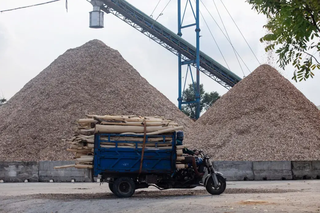 A three-wheel vehicle carries wood chips.