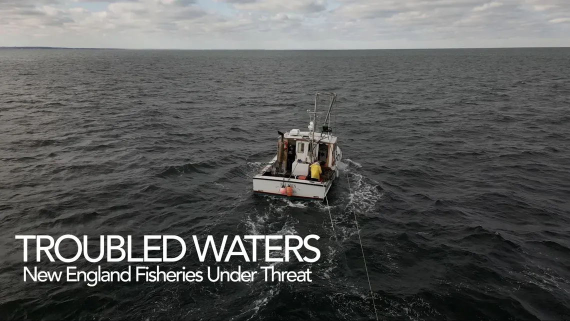 Troubled Waters