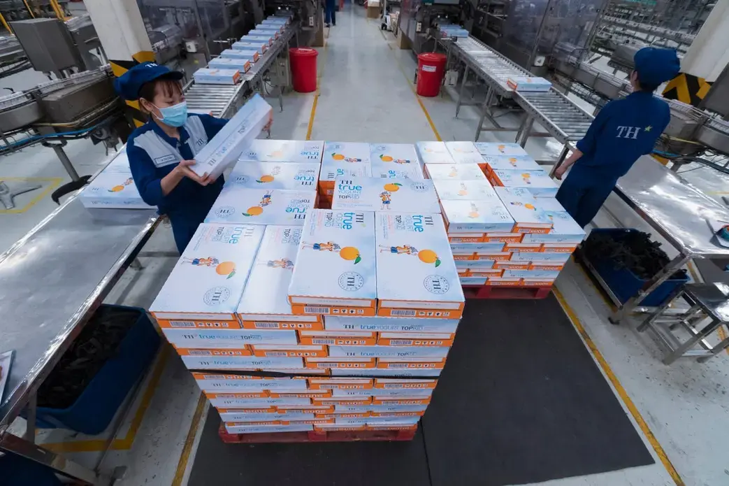 Workers stack boxes of yogurt at TH Milk's operations in Nghia Son, Vietnam. Image by Mark Hoffman. Vietnam, 2019. 