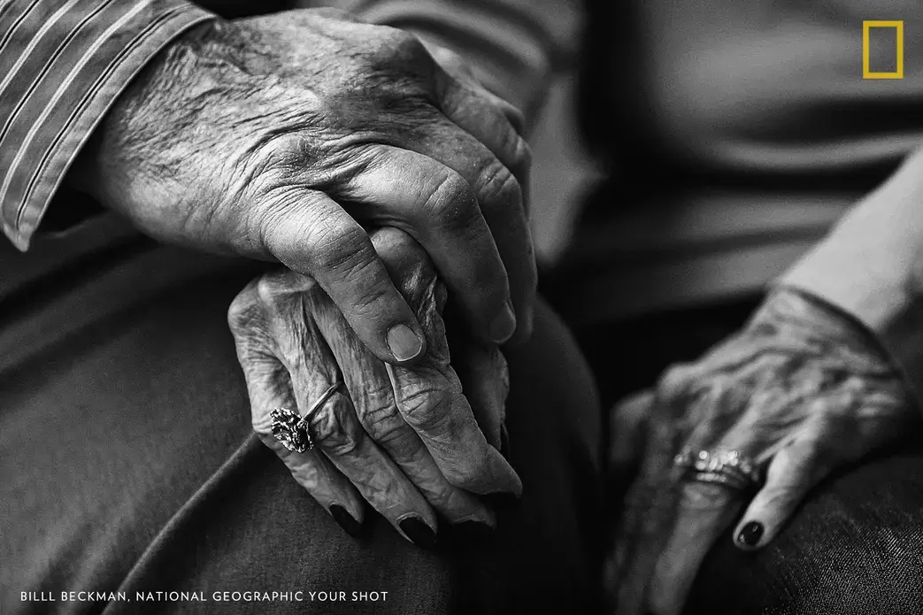 A half century of wedded life, raising children, teaching special needs children for 30 years wore these beautiful hands thin. Still there was strength for her man. Image by Bill Beckman.