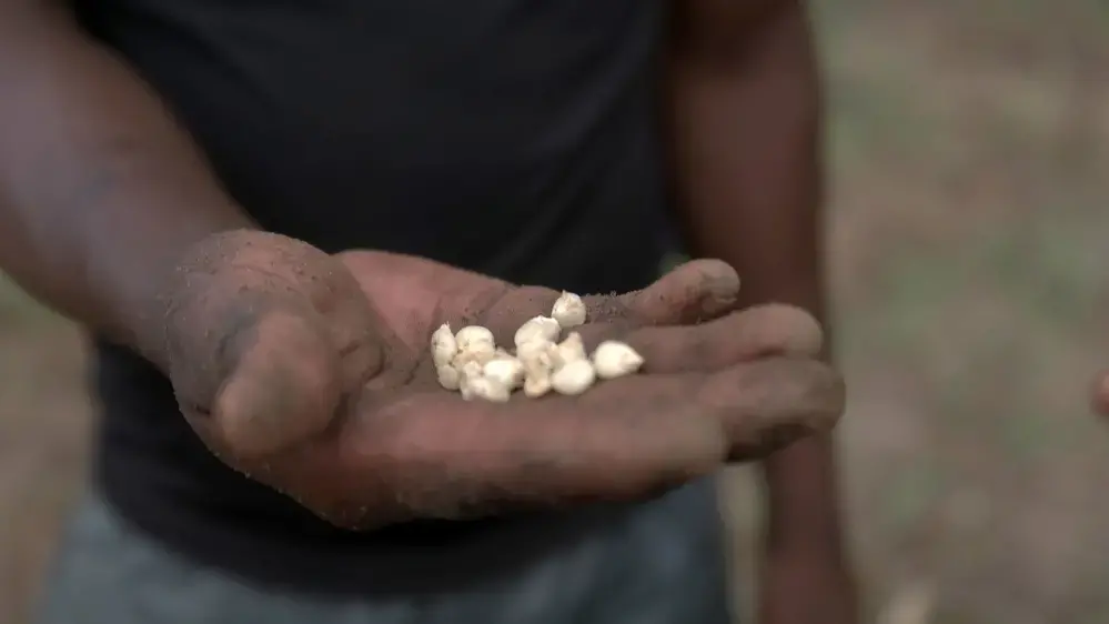 Mozambican authorities say the project will benefit small, medium and big famers. Image by Enrico Parenti. Mozambique, 2017. Mozambican authorities say the project will benefit small, medium and big famers. Image by Enrico Parenti. Mozambique, 2017.