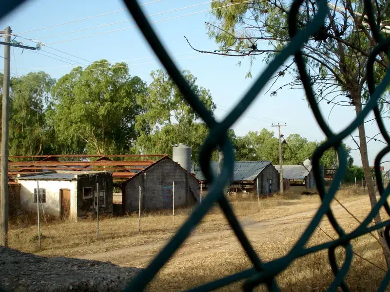 Image by David Hecht. Nigeria, 2009. Media file: 6a00d834520a2e69e2010536c2db53970c-800wi.jpg