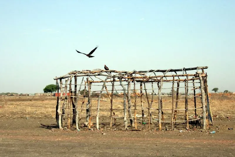 Tent frame in Abyei, Sudan, with a bird of prey, called a kite, launching from it.