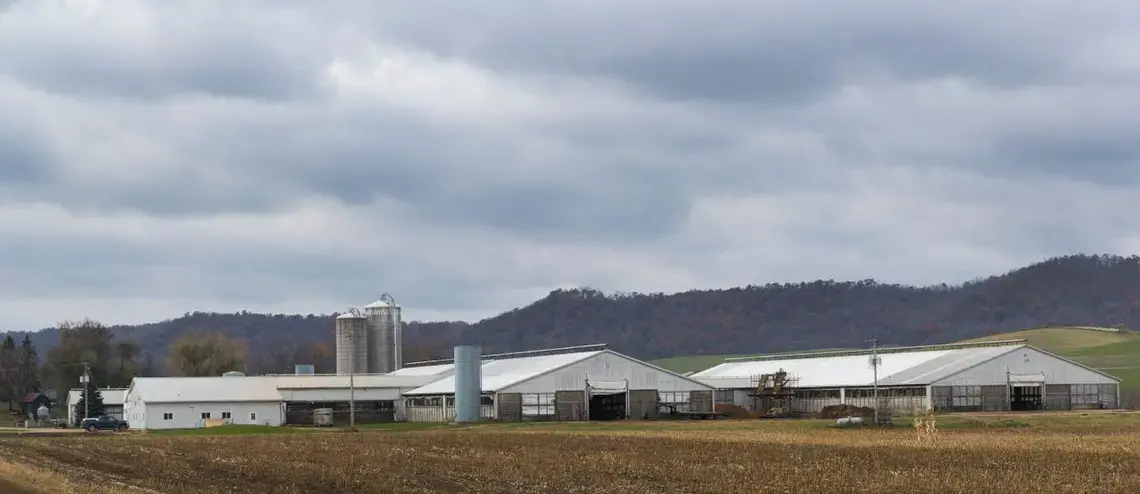 The Rosenholm Dairy in Cochrane. Image by Mark Hoffman. United States, 2019.