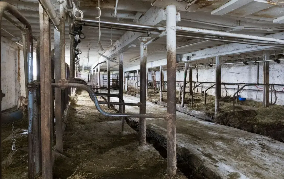 The barn is empty after the cows were loaded onto trailers. Image by Mark Hoffman. United States, 2019.