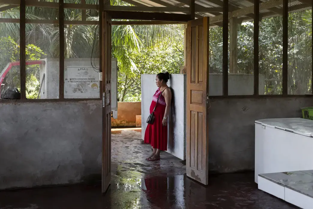 A few years back, NGOs helped construct a processing center in Trinidadcito, where fishermen and their families could break down the fish and store them before sending them to Riberalta, the largest city in the Bolivian Amazon, to be sold. Image by Felipe Luna. Bolivia, 2018.