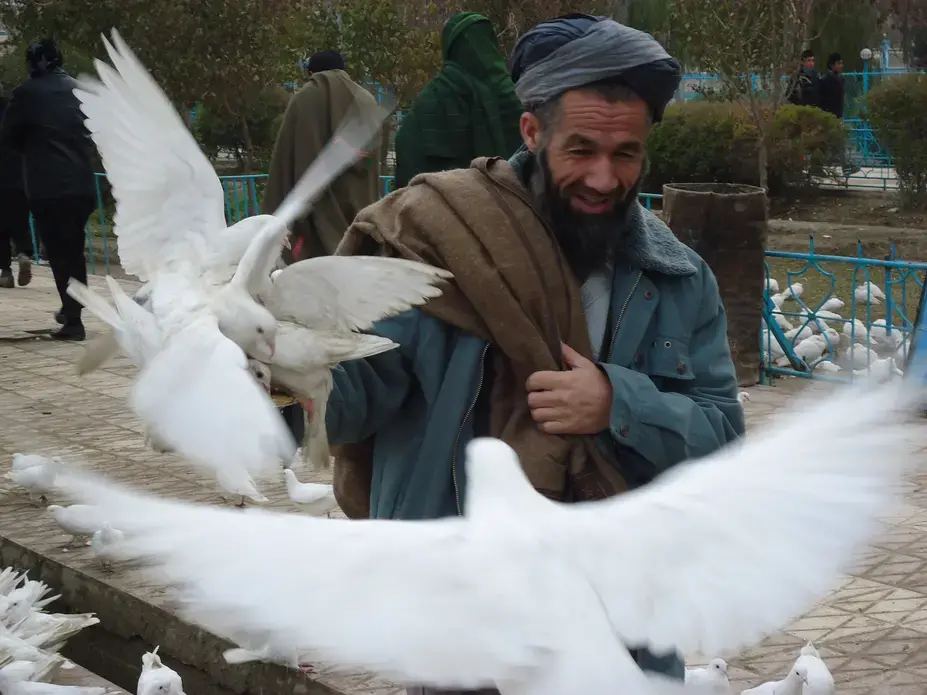A pilgrim feeds pigeons outside the Blue Mosque in Mazar-e-Sharif. Image by Anna Badkhen. Afghanistan, 2011. Media file: AnnaBadkhanPhotograph.jpg