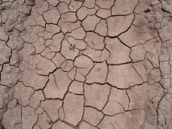 Arable land, a couple of hours northwest of the city of Chihuahua. Image by Simeon Tegel. Mexico, 2012. Media file: Chihuahua drought 047.JPG