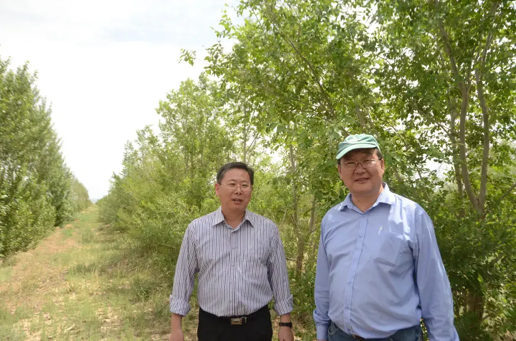 Park (left) and Tsogtbaatar by their windbreak in Dalanzadgad. Image by Dan Grossman. Mongolia, 2011. Media file: Gobi-global-warming-mongolia2_11139.jpg