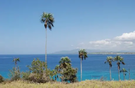 Image by Lygia Navarro, Cuba, 2010.