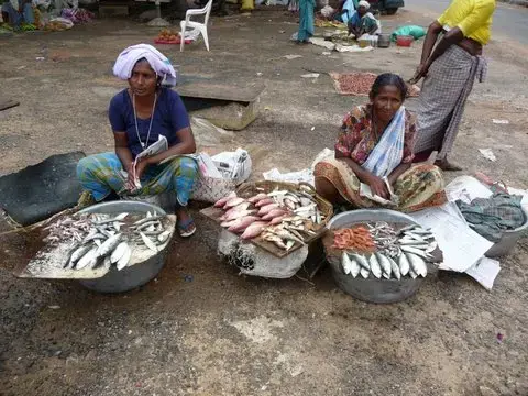 Kerala, despite being one the poorest states in India, has exceptional rates of adult literacy, life expectancy and health. Image by Shareen Brysac. India, 2009. Media file: Kerala.jpg
