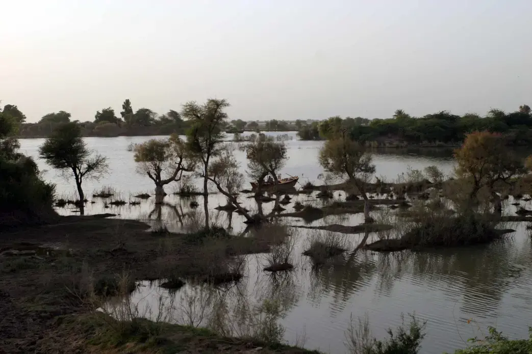 Floodwaters traveling south to the Sindh Province from Sukkur, Pakistan continue to force hundreds out of their homes. Image by Deena Guzder. Pakistan, 2010. Media file: Pakistan_Flooding.jpg