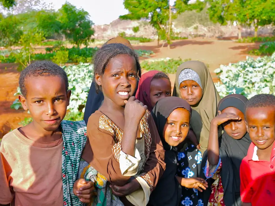 Image by Sam Loewenberg. Kenya, 2012. Media file: Projectpagephoto2.jpg