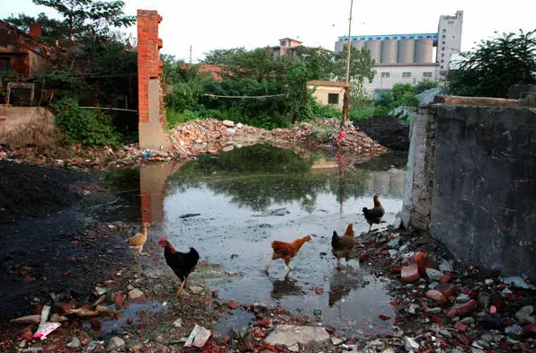 Flooding of Dongting Lake in Hunan Province has pushed water onto industrial land in nearby Yueyang city resulting in contamination of the water. China. Sean Gallagher, 2010.