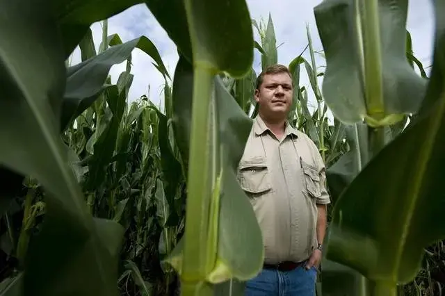 Tommie Olckers is production manager for Schoeman Estates, which controls 23,000 acres at Delmas, South Africa. Biotech corn “makes your management easier,” he says. Image by Paul Botes for the Des Moines Register. South Africa, 2010. Media file: bilde-2.jpg