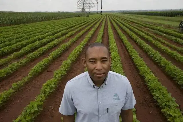 Kulani Machaba manages Pioneer's government registrations in South Africa. He's pictured on a research farm near Delmas, a corn-growing region east of Johannesburg. Pioneer is working to make corn produce high yields on less fertilizer. Image by Paul Botes for the Des Moines Register. South Africa, 2010. Media file: bilde-3.jpg