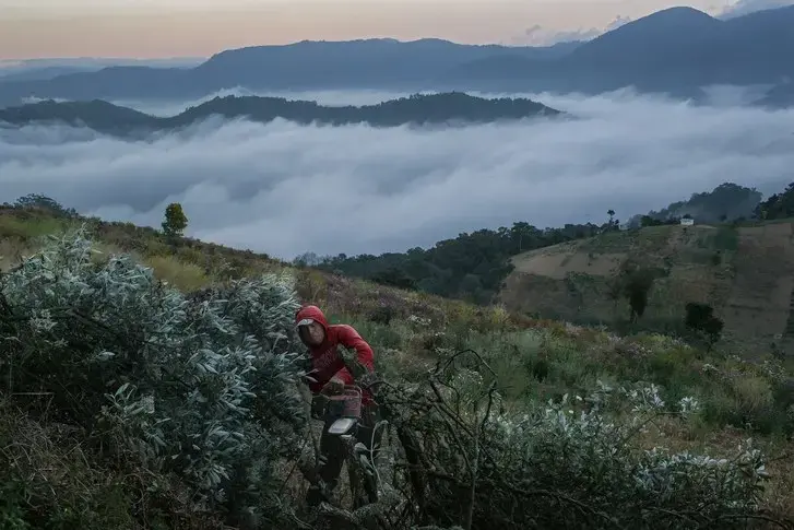 In the highlands of western Guatemala, in an area affected by deforestation, a man cuts firewood for cooking. Image by Mauricio Lima. Guatemala, 2019. In the highlands of western Guatemala, in an area affected by deforestation, a man cuts firewood for cooking. Image by Mauricio Lima. Guatemala, 2019.