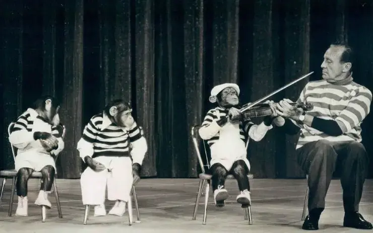 Jack Benny preforms with the Marquis Chimps. Image by CBS Television. United States, 1963. Media file: chimpanzees.entertainment.jack_.benny_.jpg