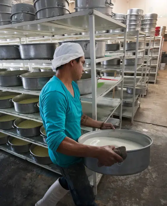 Workers carry tubs of milk that will be processed into cream at a small dairy plant owned by Alvaro Gonzalez and his brother in Tizayuca, Mexico. The business employs 15 people who make cream and yogurt. Image by Mark Hoffman. Mexico, 2019.