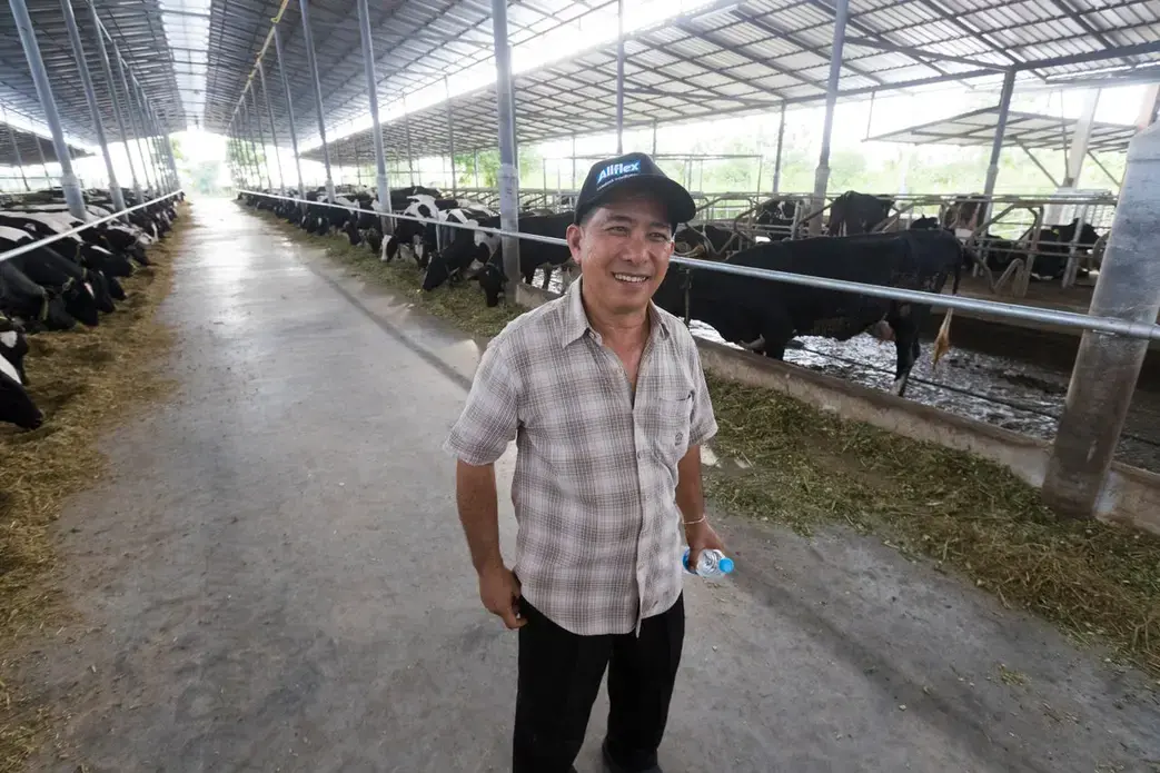 Prateep Kaewnun, who owns Prateep Farms in Pak Chong, Thailand, milks about 400 cows and purchases milk from small farms in the area. Image by Mark Hoffman. Thailand, 2019. 