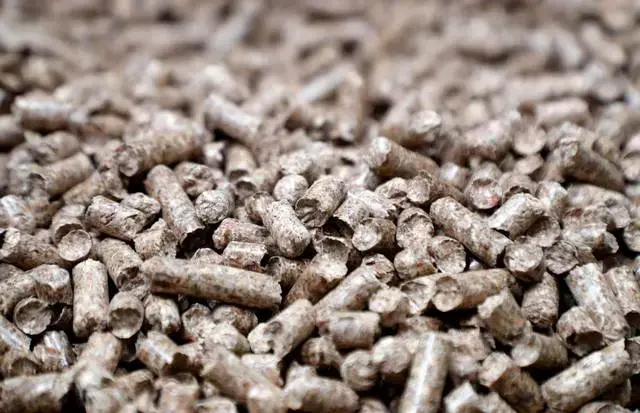 Wood pellets produced at the Enviva plant in Northampton County, N.C., seen on Tuesday, Sept. 3, 2019. Enviva is the world’s largest producer of wood pellets. Image by Ethan Hyman. United States, 2019.