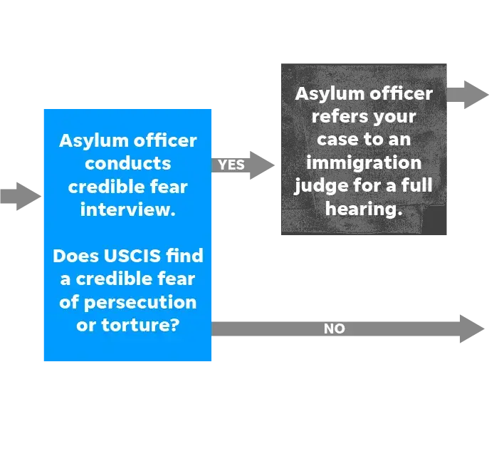 SOURCE U.S. Citizenship and Immigration Services. Image courtesy of Rebecca Plevin, Evan Wyloge/Desert Sun; Ramon Padilla, Jim Sergent/USA TODAY.