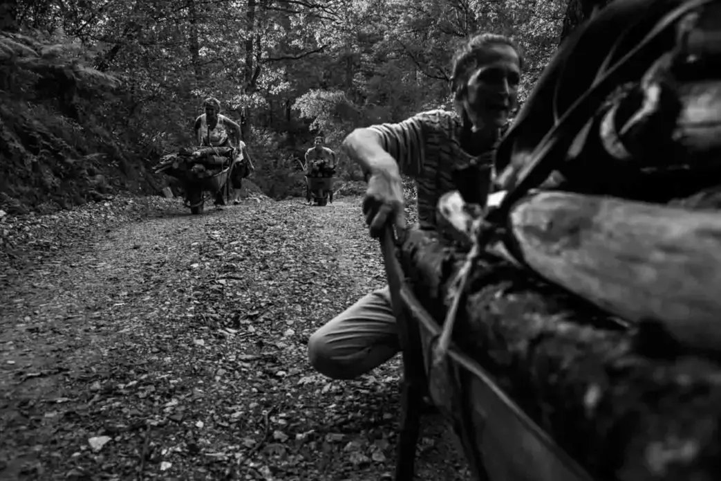 Hazira Đafič and her neighbors transport wood logs into the refugee settlement Ježevac. Image by Jošt Franko. Bosnia and Herzegovina, undated.