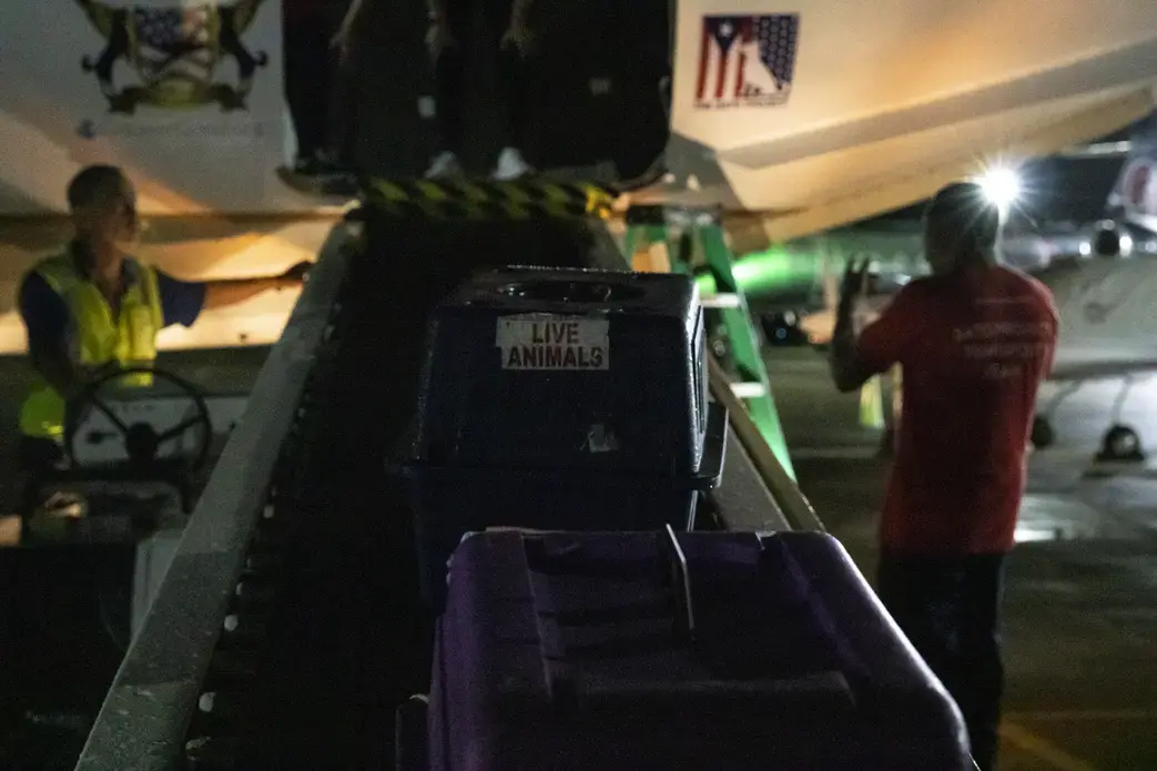 Crates move slowly up the conveyor belt into the plane door. Image by Jamie Holt. United States, 2019.