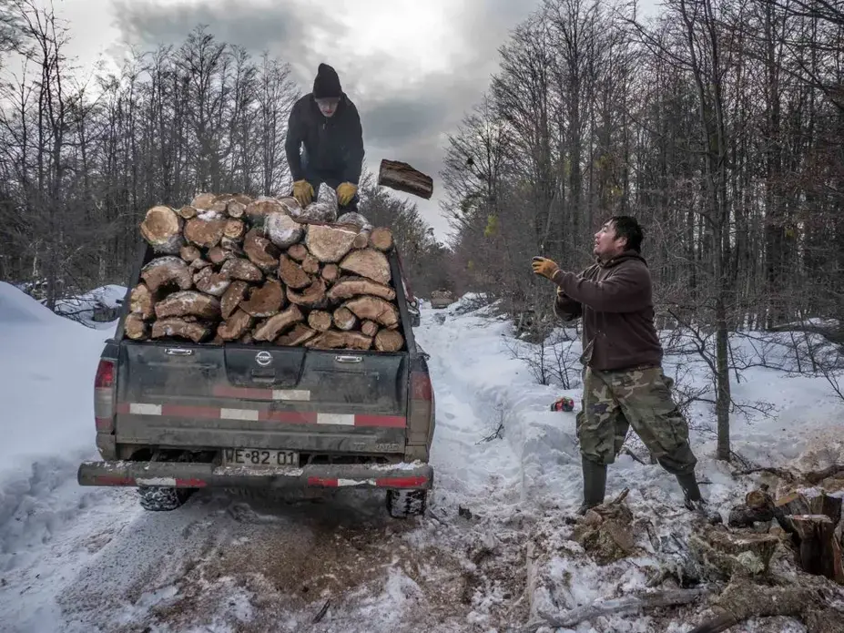 Some 20 miles north of Coyhaique, 53-year-old Marcelo Luis (in the truck) and his partner Miguel Hernandez harvest trees during one of two daily trips into the mountains. Image by Larry C. Price. Chile, 2018.