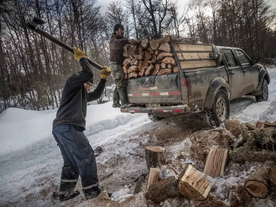 Woodcutting is big business in Coyhaique, since almost all homes and most businesses are heated by wood collected in the nearby mountains. Image by Larry C. Price. Chile, 2018.