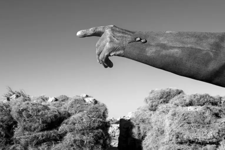 The hand of a farmer who lives near the dried remains of Hamoon Lake in Sistan, Iran. The lack of fresh water and the sand storms have harmed local agriculture. Image by Ako Salemi. Iran, 2016.