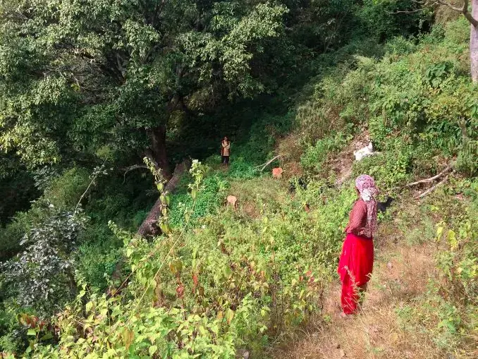 Women farmers in Harkapur village bring their goats to browse in nearby fields. Girls and women in rural Nepali villages are most vulnerable to trafficking due to their lack of education and economic opportunities. Image by Nicole Brigstock. Nepal, 2015.