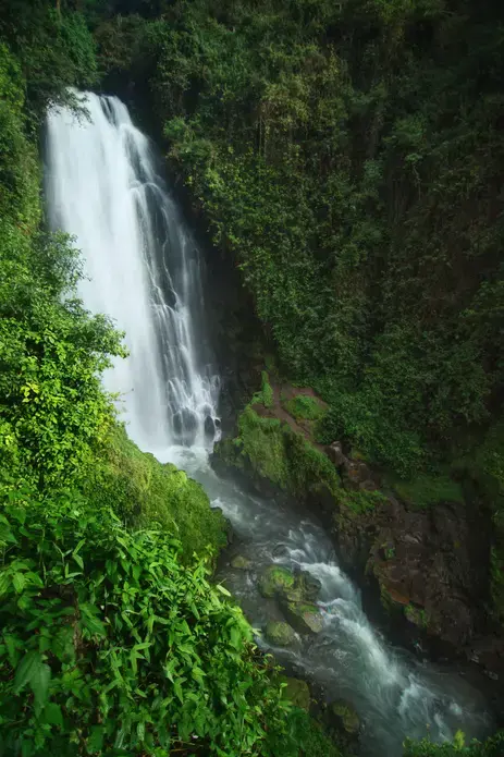 Pictured is the magnificent Cascada de Peguche waterfall. We learned that local people use the waterfall in a ritual called Inti Raymi which celebrates the sun god Inti. At midnight on the 21st of June they bathe in the waterfall as a purification ritual. It was beautiful and I hope to someday come back and spend more time here. Image by Jackson Fox-Bland. Ecuador, 2018.