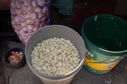The garlic is soaked twice in warm water before packaging—first as bulbs to make them easier to peel, then as peeled cloves to keep them fresh. Image by Micah Castelo. Philippines, 2019.  