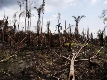 Niger Delta Oil Disaster, Photo by Socialist Youth League of Norway on Flickr (CC-BY-ND) Media file: nigerdeltaoil_hunger_crisis.jpg