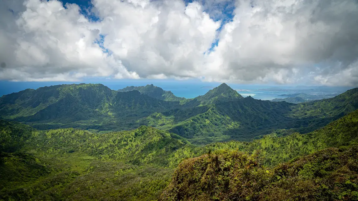 Watersheds provide clean drinking water, carbon sequestration and help prevent floods and droughts. A University of Hawaii study estimated the Koolau Range provides between $7.4 billion and $14 billion in value to the state. Image by Kuʻu Kauanoe/Civil Beat. United States, 2020. Watersheds provide clean drinking water, carbon sequestration and help prevent floods and droughts. A University of Hawaii study estimated the Koolau Range provides between $7.4 billion and $14 billion in value to the state. Image by Kuʻu Kauanoe/Civil Beat. United States, 2020.