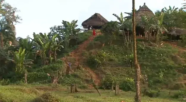 Media file: panama.jpg.png