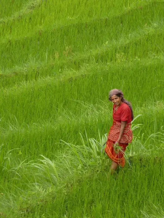 Image by Anna Tomasulo. Nepal, 2011. Media file: rita.jpg