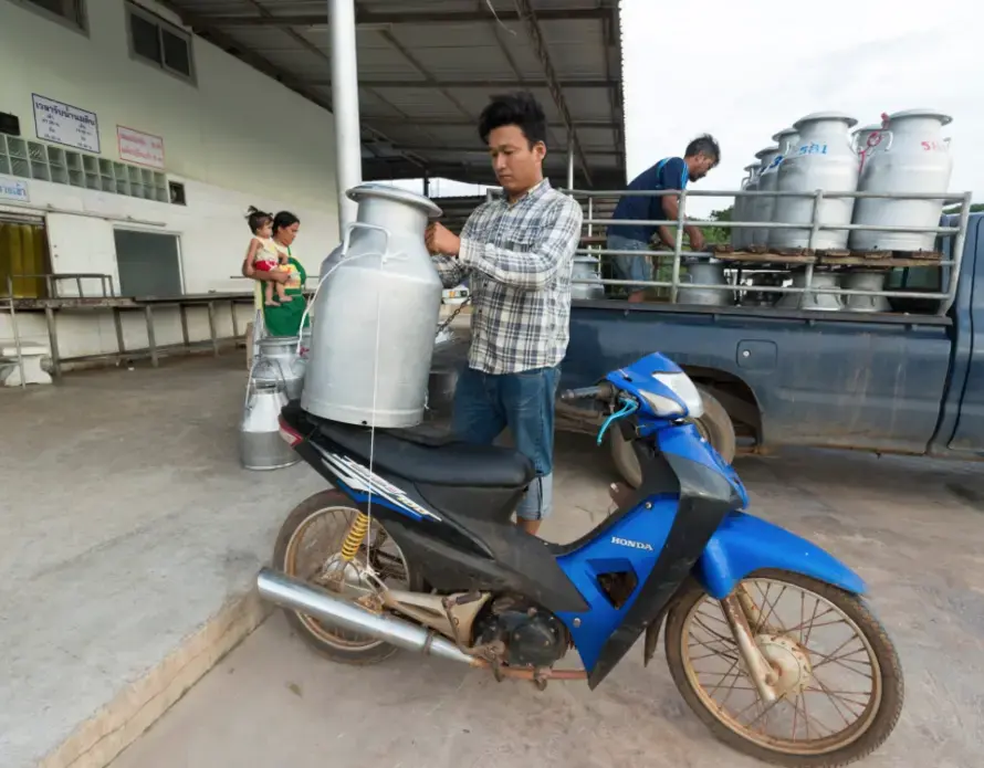 A farmer drops off a single can of milk at Prateep Farms in Pak Chong, Thailand. Owner Prateep Kaewnun milks about 400 cows and purchases milk from small farmers in the area. Image by Mark Hoffman. Thailand, 2019. A farmer drops off a single can of milk at Prateep Farms in Pak Chong, Thailand. Owner Prateep Kaewnun milks about 400 cows and purchases milk from small farmers in the area. Image by Mark Hoffman. Thailand, 2019.