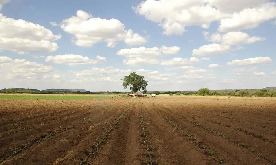 Media file: segment3bg2.jpg