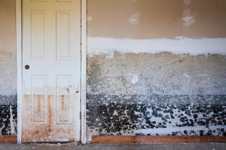 A repeatedly flooded home in Sellers, South Carolina, on February 13, 2020. After two hurricanes and repeated flooding, many homeowners have had to leave their homes to escape the dangerous mold. Image by Joshua Boucher. United States, 2020.<br />
