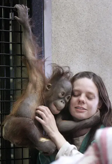 Trish Khan, Mandy Hollingsworth, and Clair Reichard were all caregivers for Mahal at the Milwaukee County Zoo. Image courtesy of Trish Khan and Milwaukee Journal Sentinel Files.