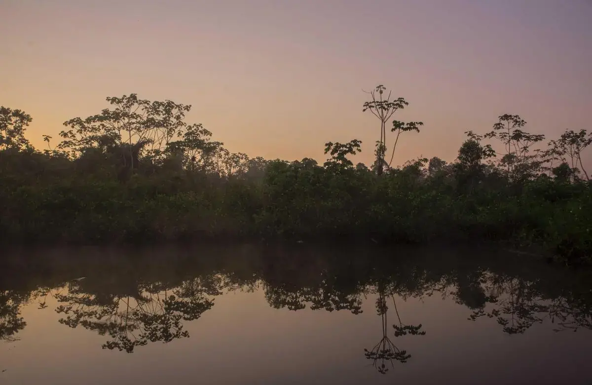 A forest reflected in a lake at Bia Recuaté.
