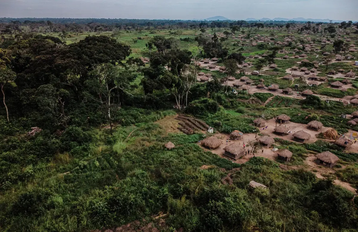 An aerial view of a lush green landscape dotted with small beige houses with thatched roofs