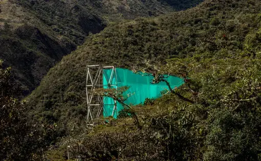The forests of Wayqecha, Peru rely on moisture from clouds to sustain themselves but climate change is moving that cloud layer higher every year. Image by Dan Metcalfe. Peru, 2017.